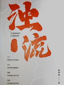 浊流沉积特征